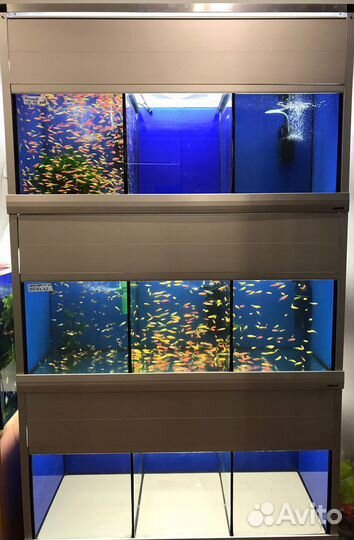 Аквариум б/у