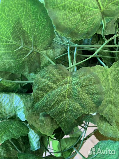 Клещевина искусственная лиана виноград
