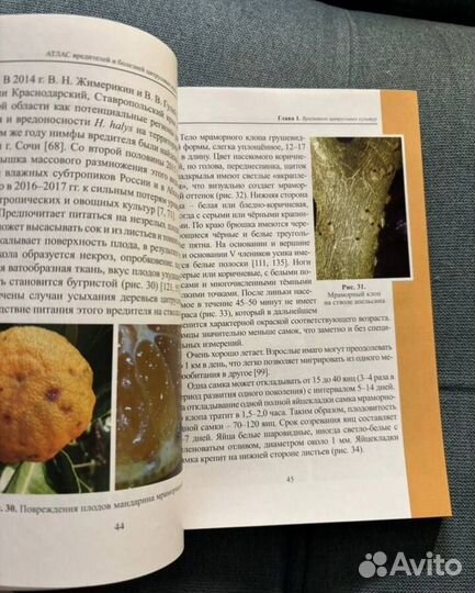 Атлас для Ольги