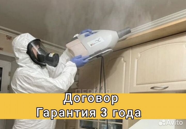 Уничтожение тараканов клопов