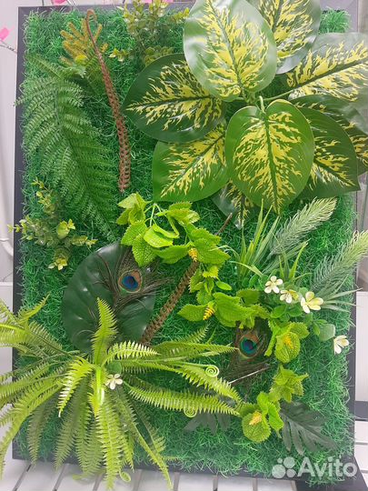 Фитокартина из декоративных растений