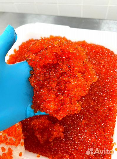 Красная икра - 2023 оптом