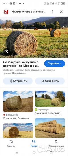 Продам сено луговое с экспарцетом