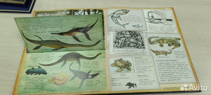 Книги интерактивные махаон