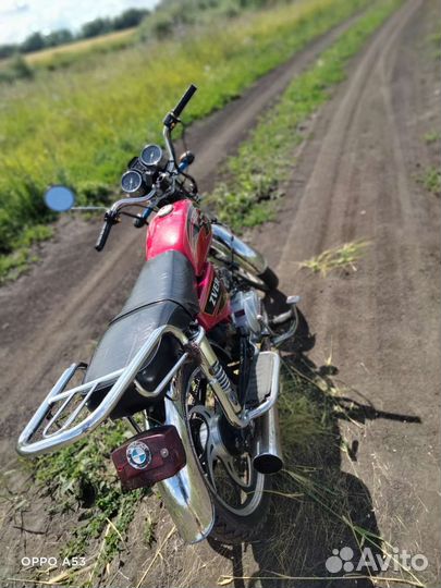 Альфа зверь 110