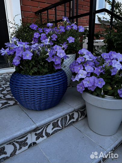 Кашпо для цветов