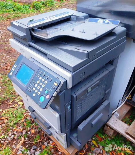 Мфу Konica Minolta bizhub 250