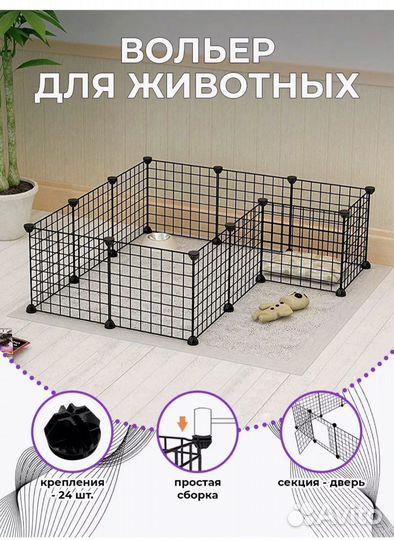 Продаются Морские свинки (2 мальчика)