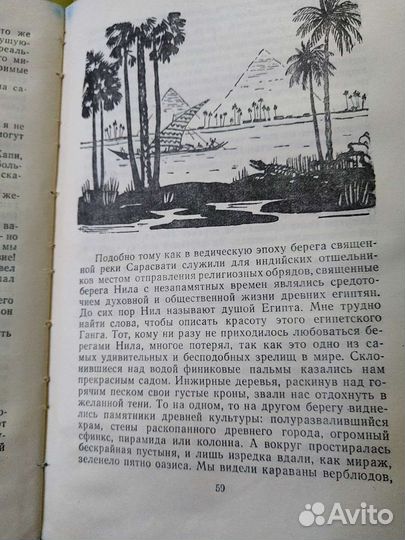 В Забытой Стране