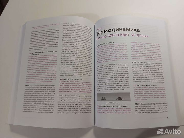 Джирл Уокер 