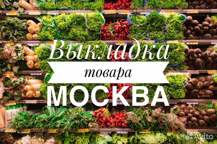 Работа ночью или днем, много денег (РФ, снг)