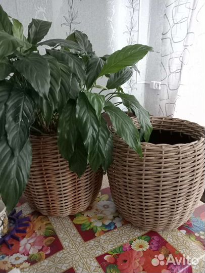 Кашпо из полиротанга