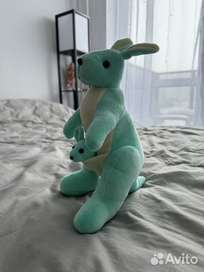 Кенгуру новая