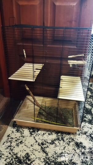 Клетка для шиншиллы