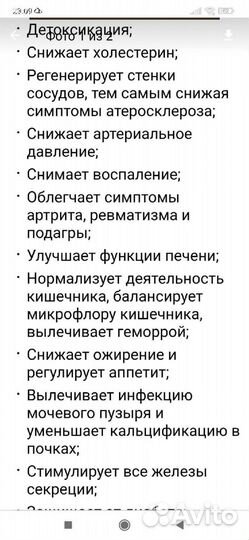 Чайный гриб комбуча