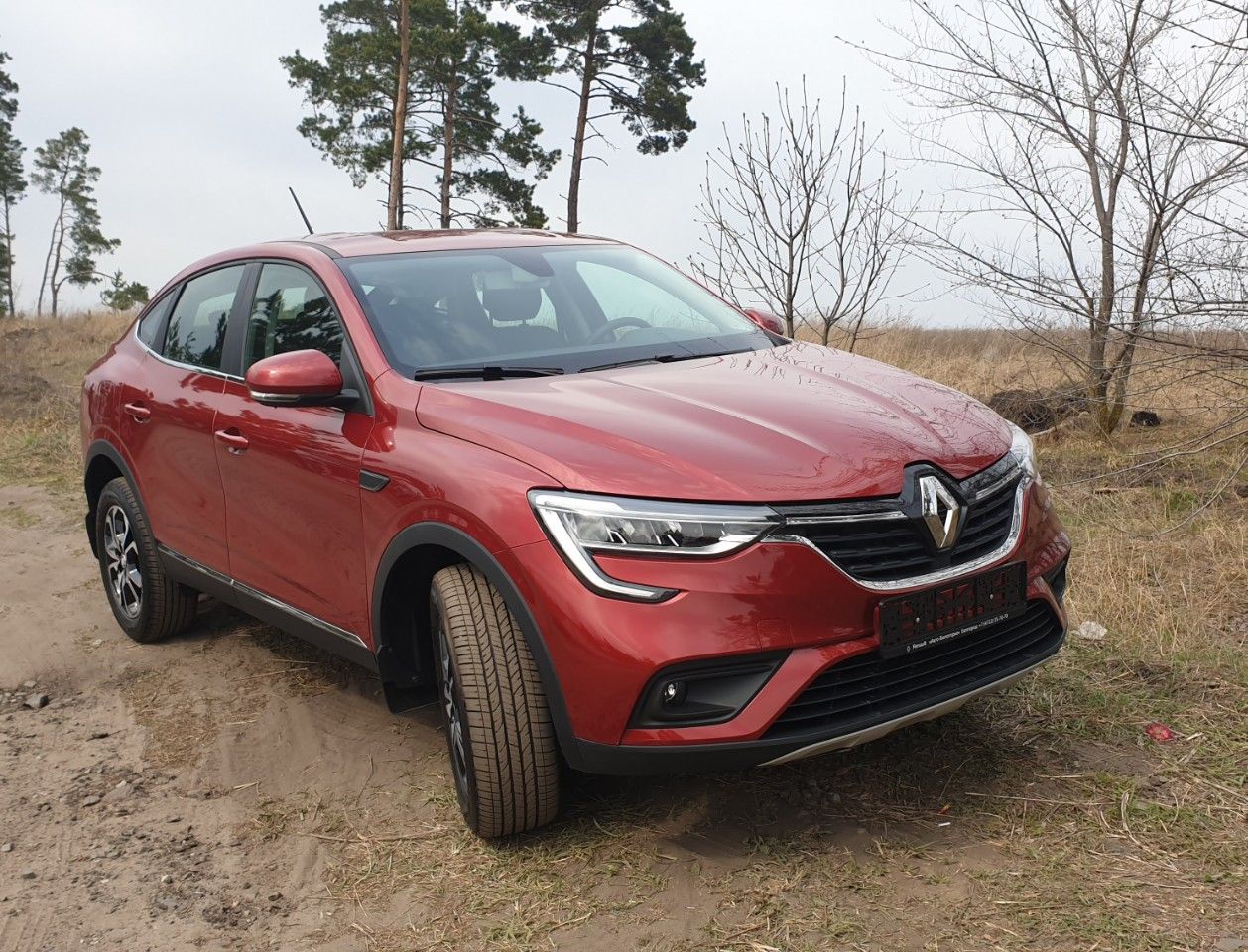 Renault Arkana: фото владельца