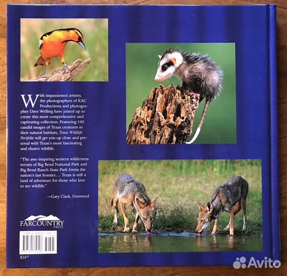 Фотоальбом Gary Clark 