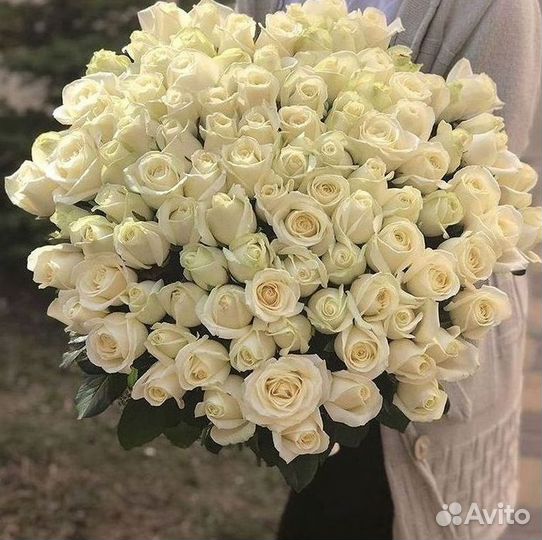 101 Роза Цветы Букеты 51 25 Роз Доставка