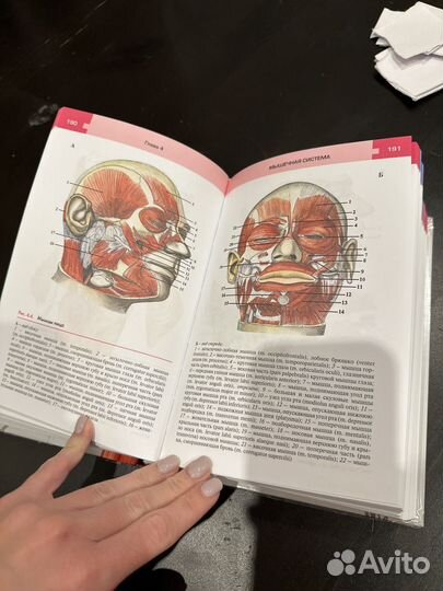 Атлас по анатомии и физиологии человека