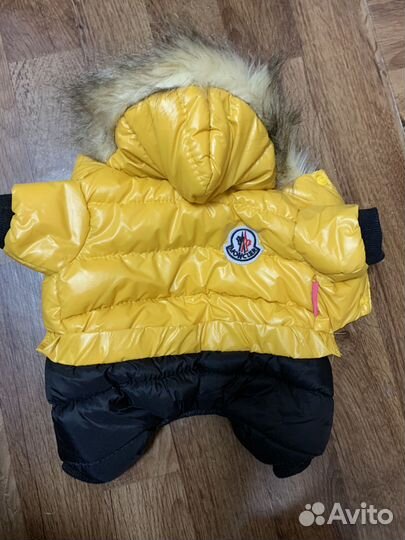 Комбинезон для маленькой собаки