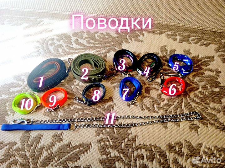 Амуниция для собак