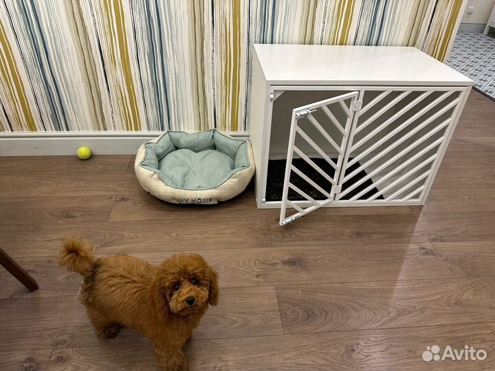 Вольер для собак в квартиру