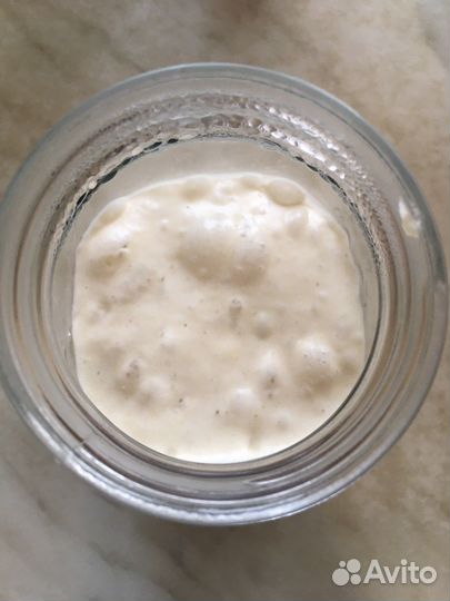 Закваска для хлеба