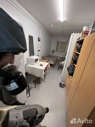 Уничтожение насекомых