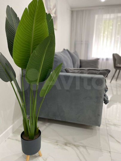 2-к. квартира, 47 м², 4/5 эт.