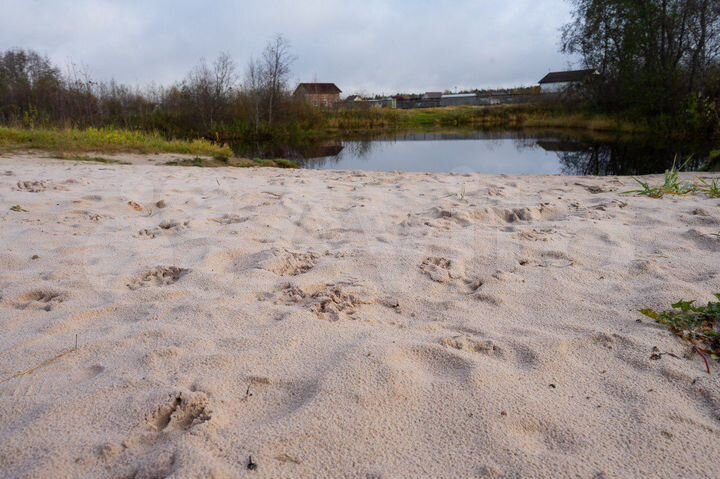 Участок 24,4 сот. (СНТ, ДНП)