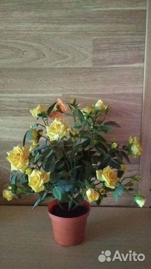 Искусственные цветы