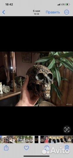 Череп интерьерный