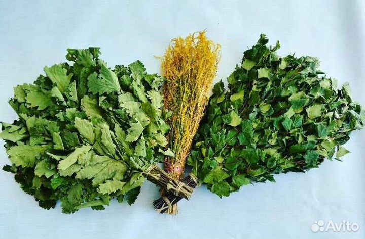 Супер веники для бани дубовые, берёзовые, пихтовые