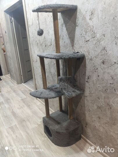 Домик для котов