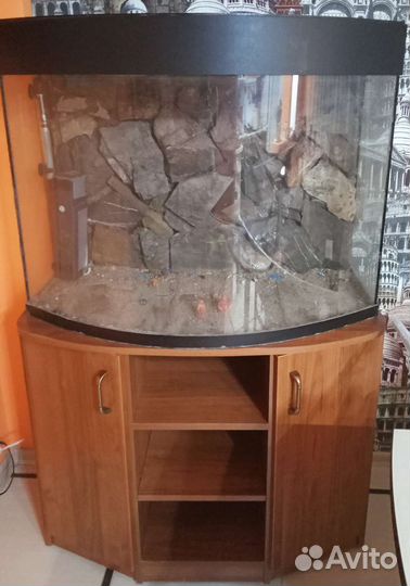 Аквариум с тумбой бу