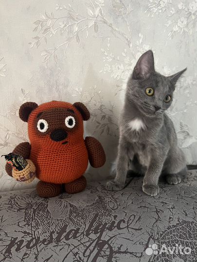 Винни пух союзмультфильм