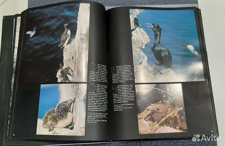 Книга энциклопедия 