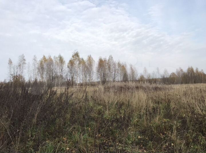 Участок 32,64 га (СНТ, ДНП)