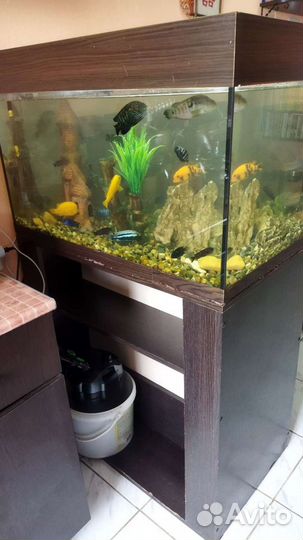Аквариум с двусторонней тумбой, 180 л