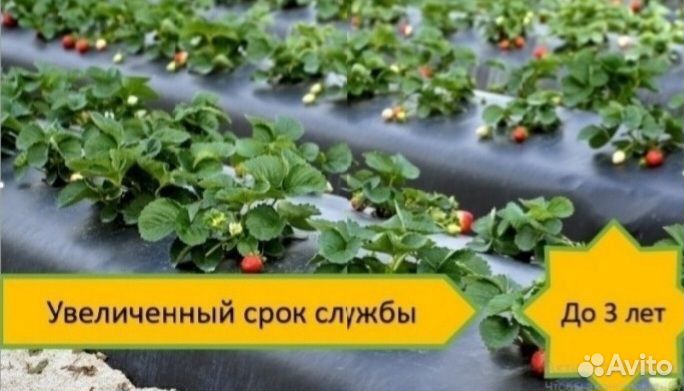 Пленка с перфорацией