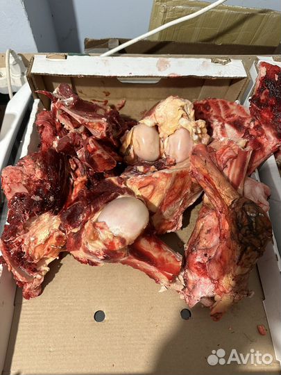 Кости говяжьи