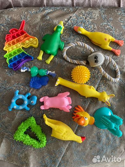 Грызунки и игрушки для собак