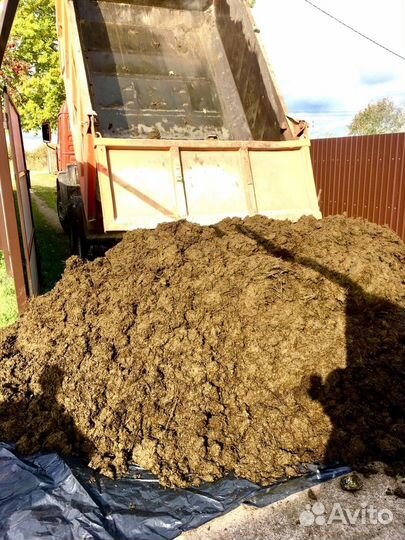 Навоз коровий