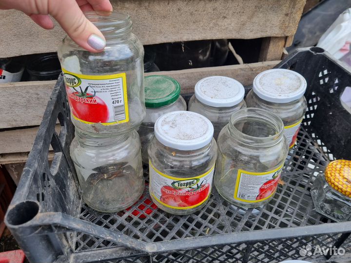 Банки стеклянные