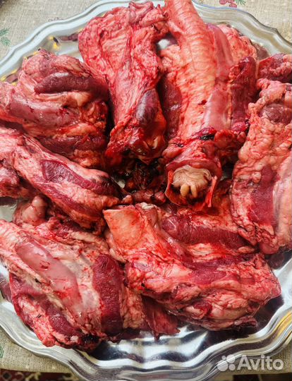 Баранья трахея