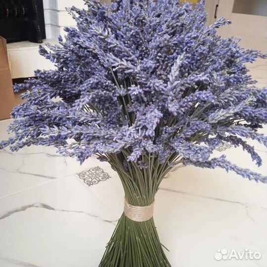 Лавандовая ферма