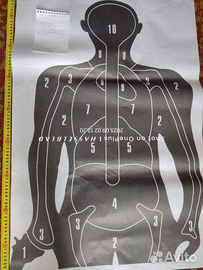 Мишень для практической стрельбы, метания ножей