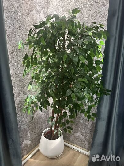 Фикус бенджамина большой искусственный