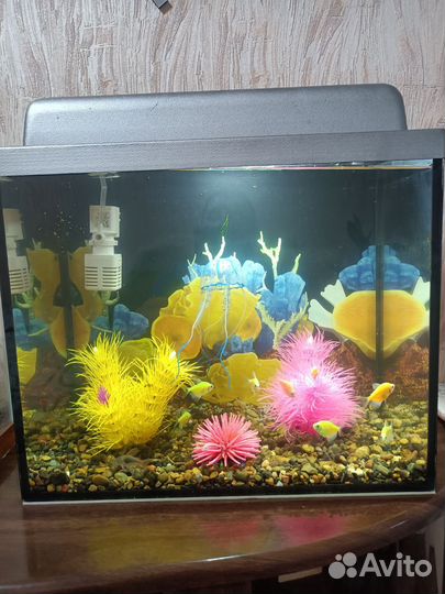 Аквариум 25л со всем содержимым