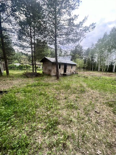 Участок 10 сот. (СНТ, ДНП)